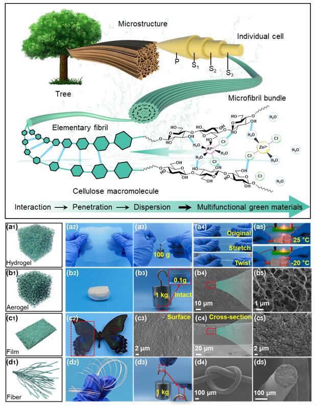 QQ截图20250528153638